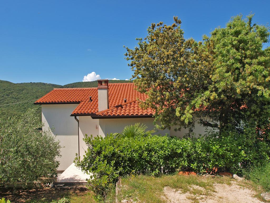 Apartment Jolanda 911